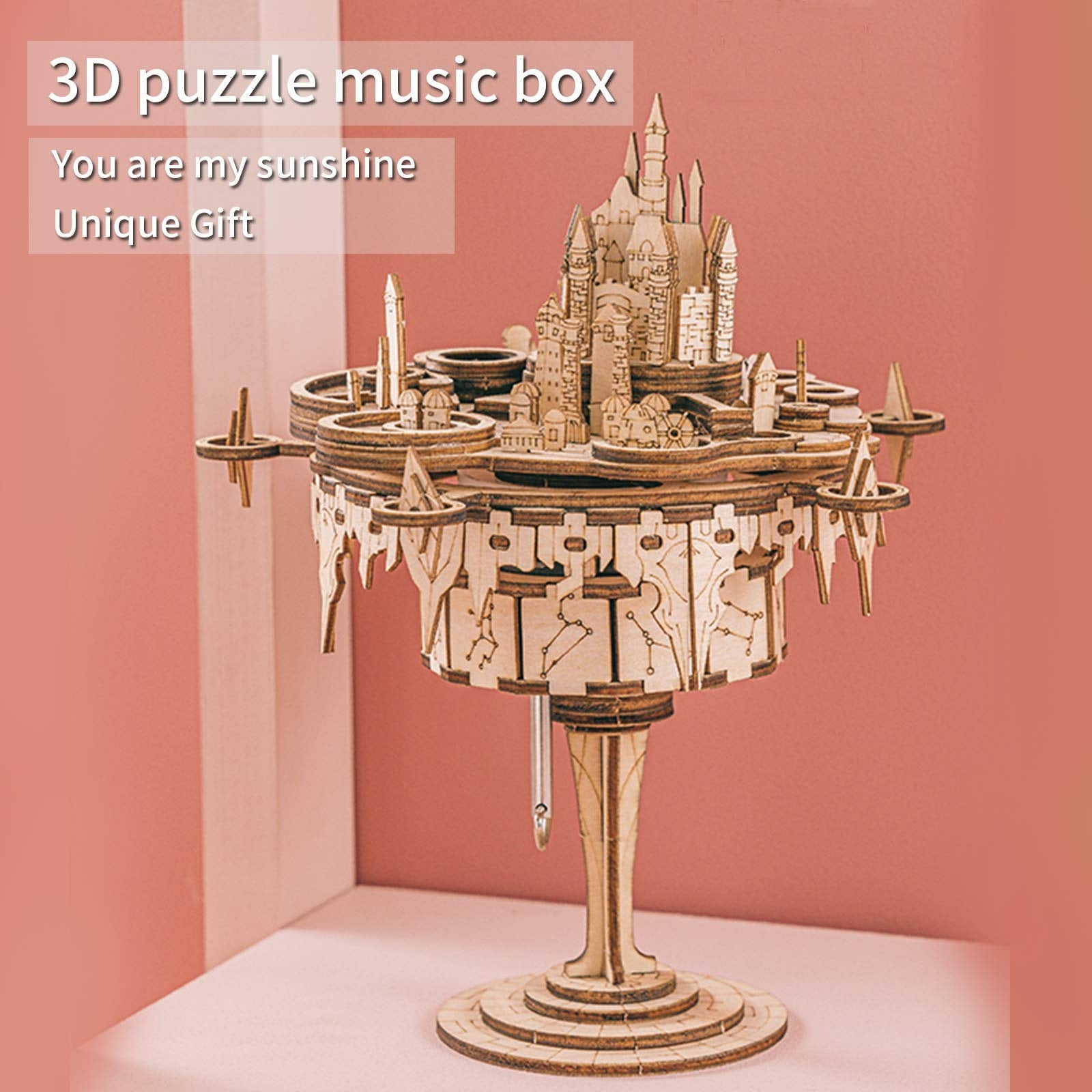 -MUSIC PARK 3D Wooden Puzzles..