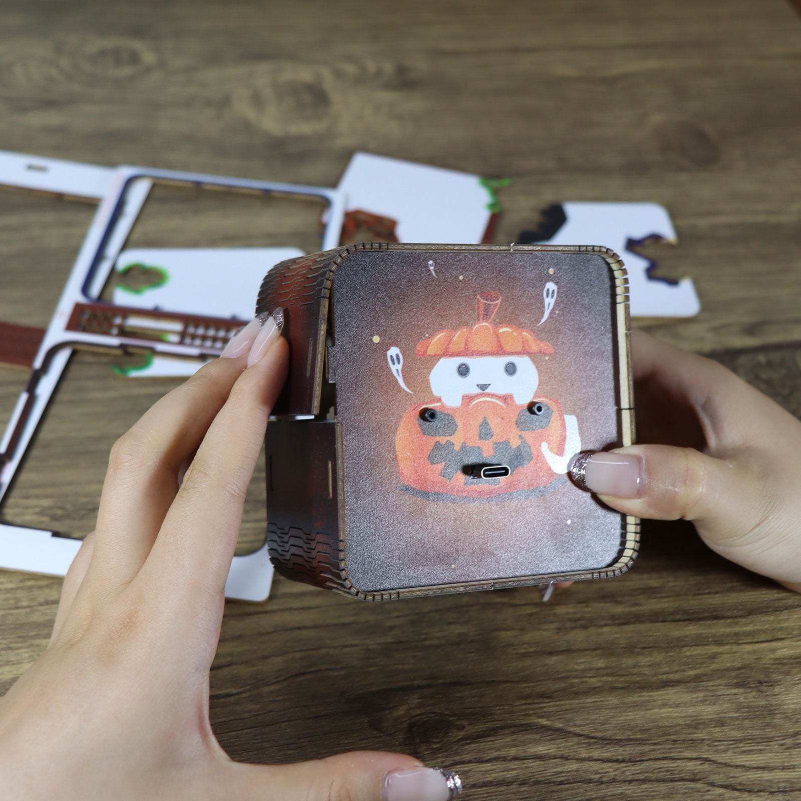 -MUSIC PARK 3D Wooden Puzzles